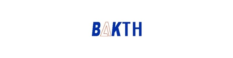BAK Theme Logo